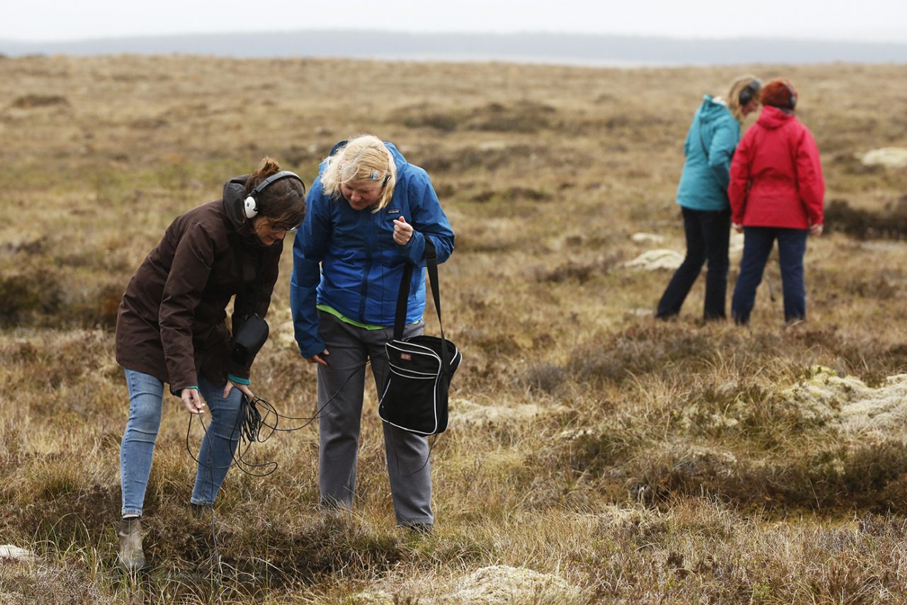 Photo: Murdo Macleod